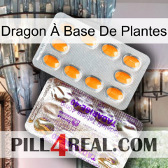 Dragon À Base De Plantes new12